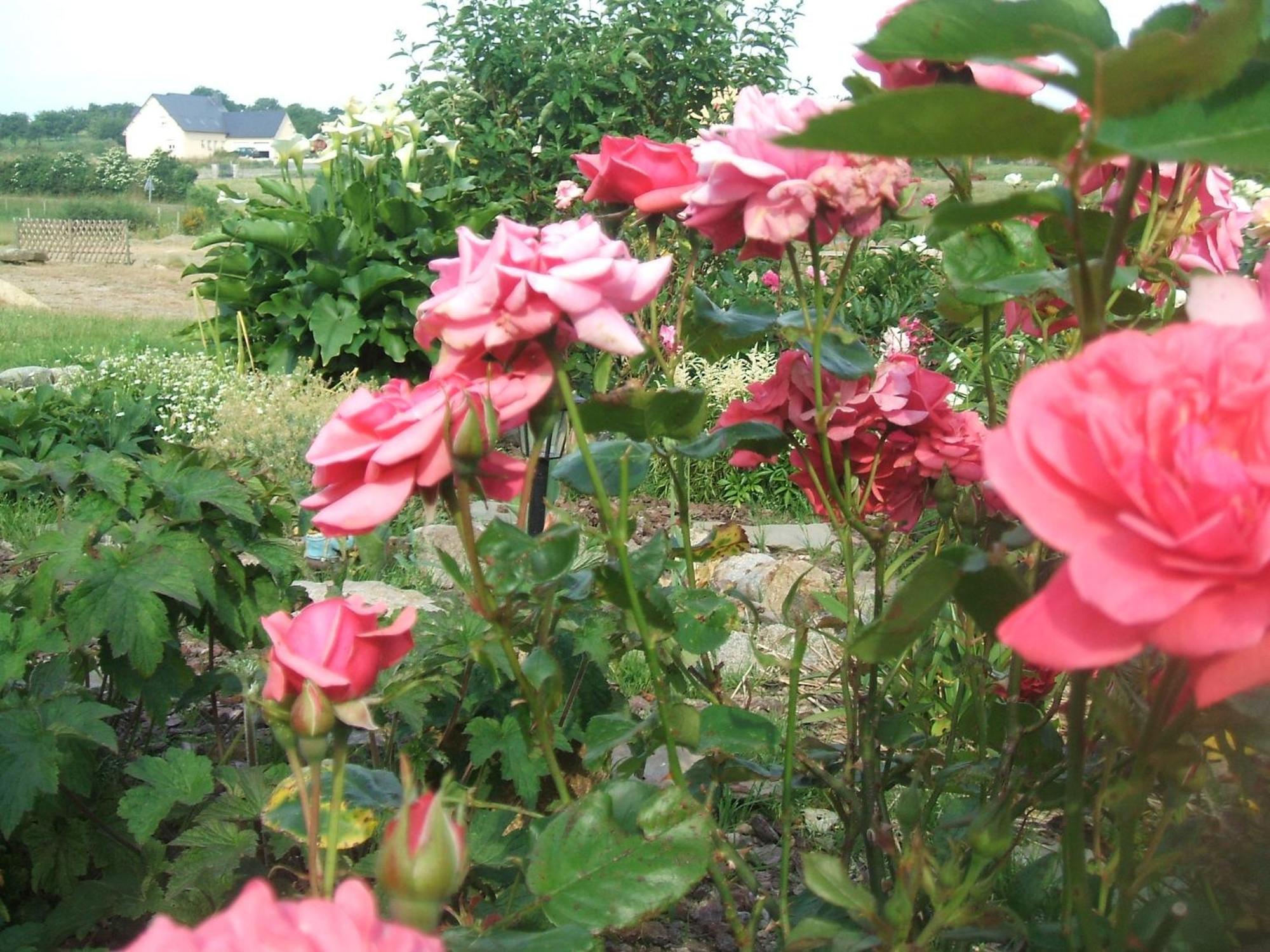 Poilley  Les Sources B&B 외부 사진